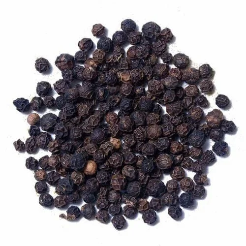 Black Pepper 550-gl - Food & Agriculture by Grdlines