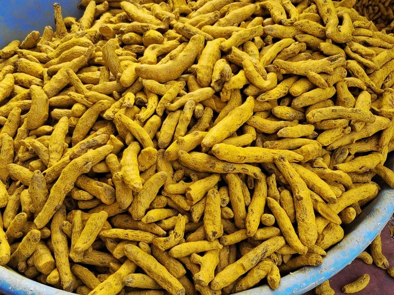 Turmeric Finger and Powder - Food & Agriculture by Hadoti Fresh Foods LLP