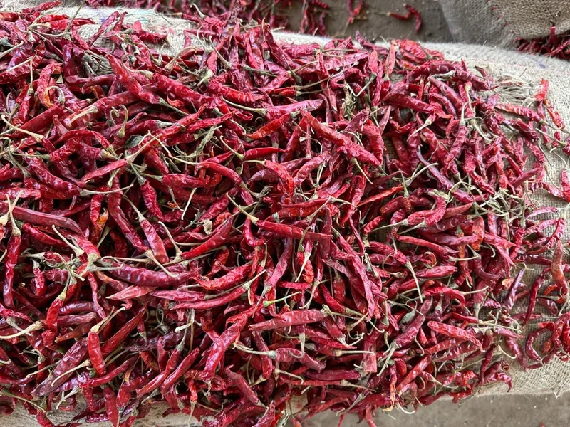 Red Chilies - Food & Agriculture by Hadoti Fresh Foods LLP