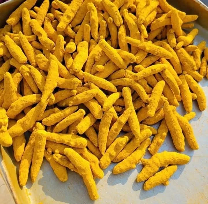 Bulk Turmeric Fingers - Food & Agriculture by Sv Exporters